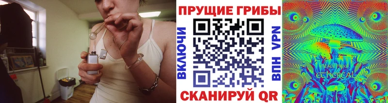 дарнет шоп  Магнитогорск  Псилоцибиновые грибы мицелий 